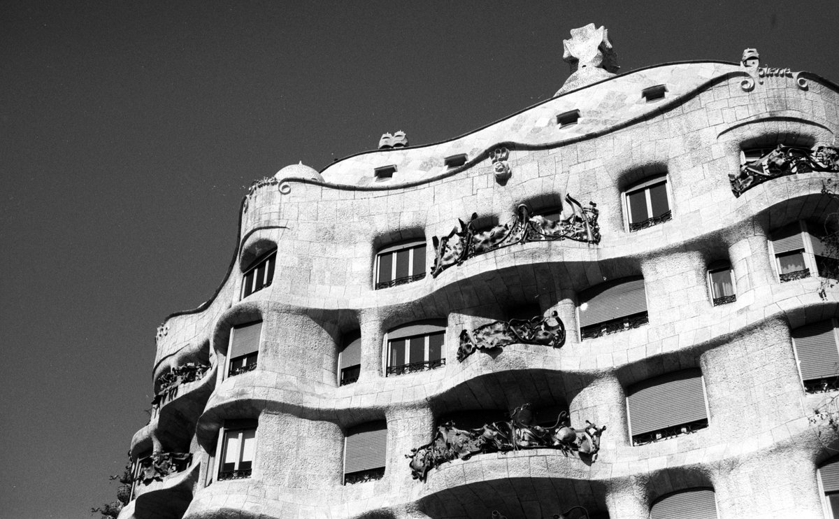 jakkdaveed's tweet image. 