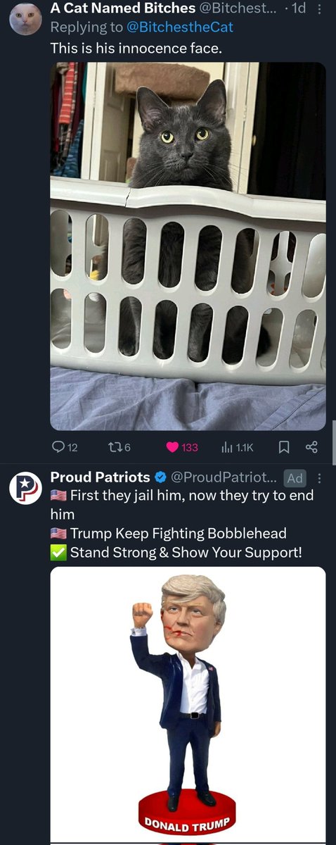 Zephyr 🌈💔👼 tweet media