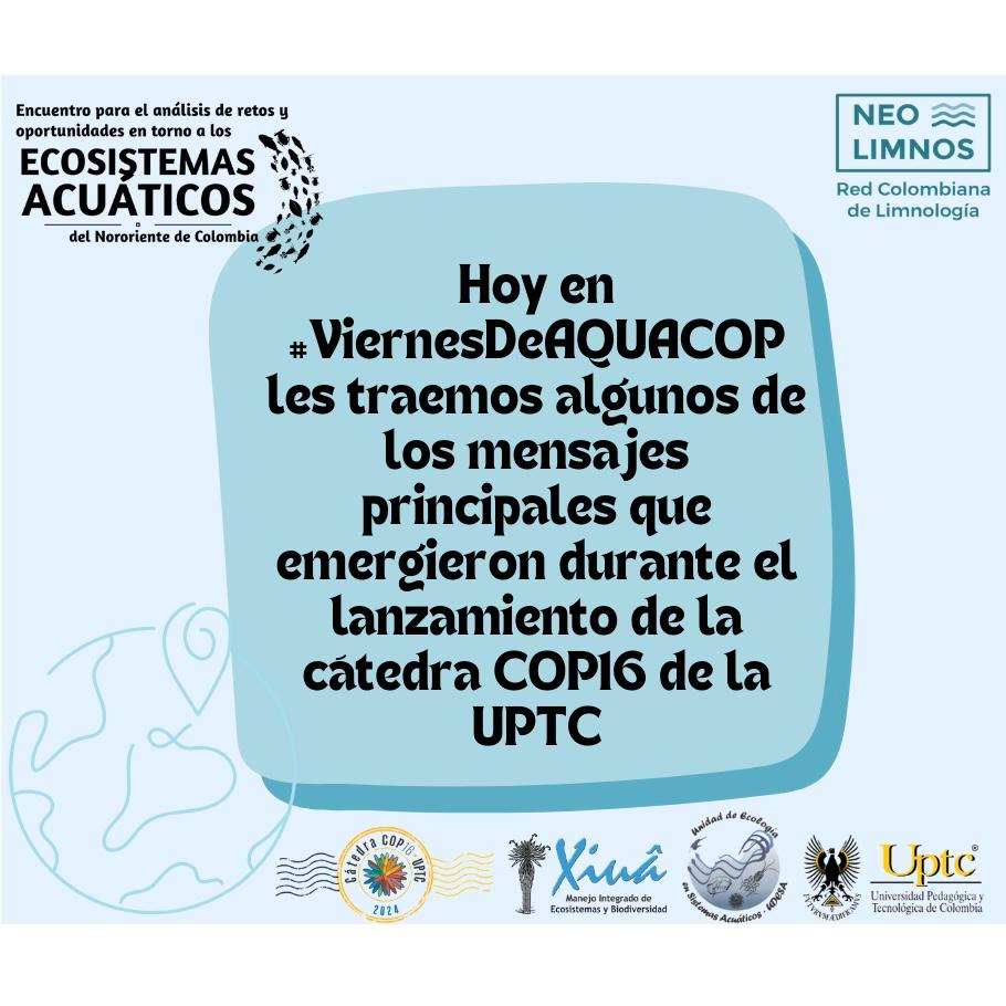 ¡Hoy en #ViernesDeCOP16, desde la Red Colombiana de Limnología, destacamos los mensajes clave del "Encuentro para el análisis de retos y oportunidades en torno a los ecosistemas acuáticos del nororiente de Colombia" 🐟🦦💧🧵 #AquaCOP16 #COP16Colombia