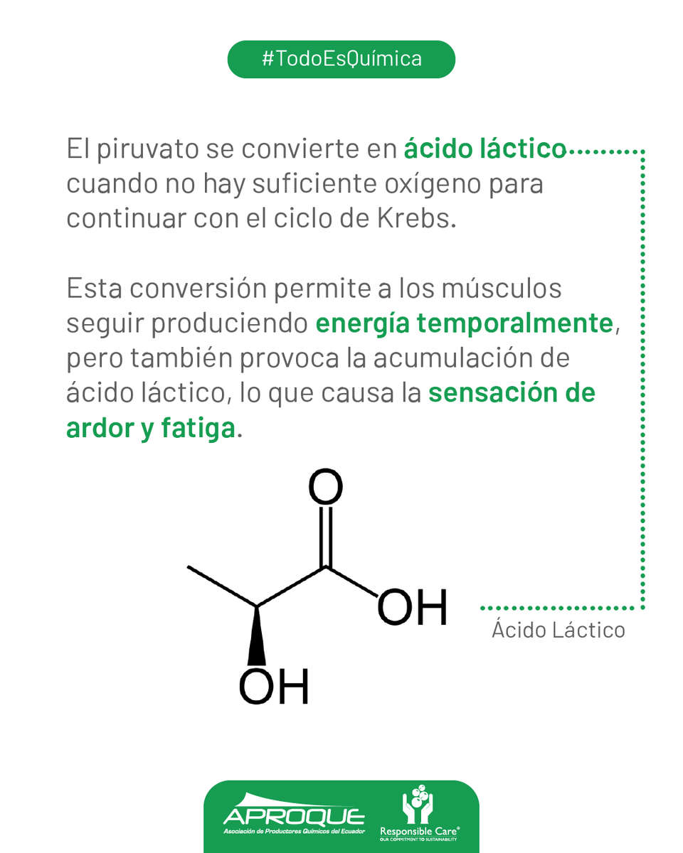 aproquerc's tweet photo. 💥🏋️‍♀️ ¡La ciencia detrás de cada movimiento es increíble! Entrena tu cuerpo, activa tu mente y siente la química en acción. ⚡🚴‍♀️ 

#QuímicaDelDeporte #EnergíaEnMovimiento #EntrenaConCiencia https://t.co/LeIZ8kpRJi