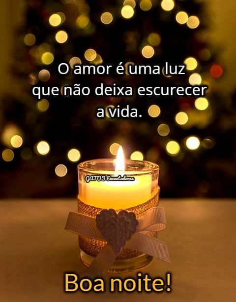 Boa noite 💤🌹💤