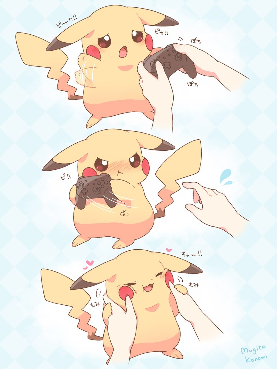 ピカチュウ「ゲームしてないでかまって！」