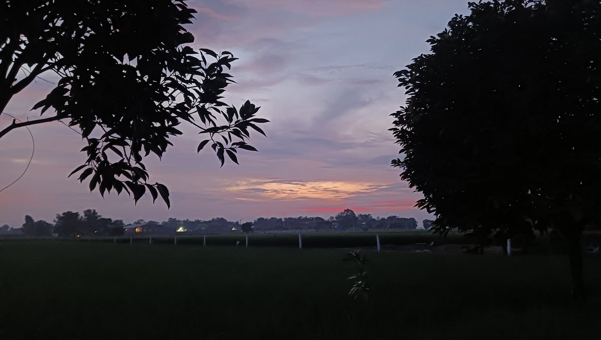 anshpreetkaur01's tweet photo. ਮੇਰਾ ਪੰਜਾਬ ❤️✌️
#punjab
#india
#NatureBeauty https://t.co/j7WTP0K4Da
