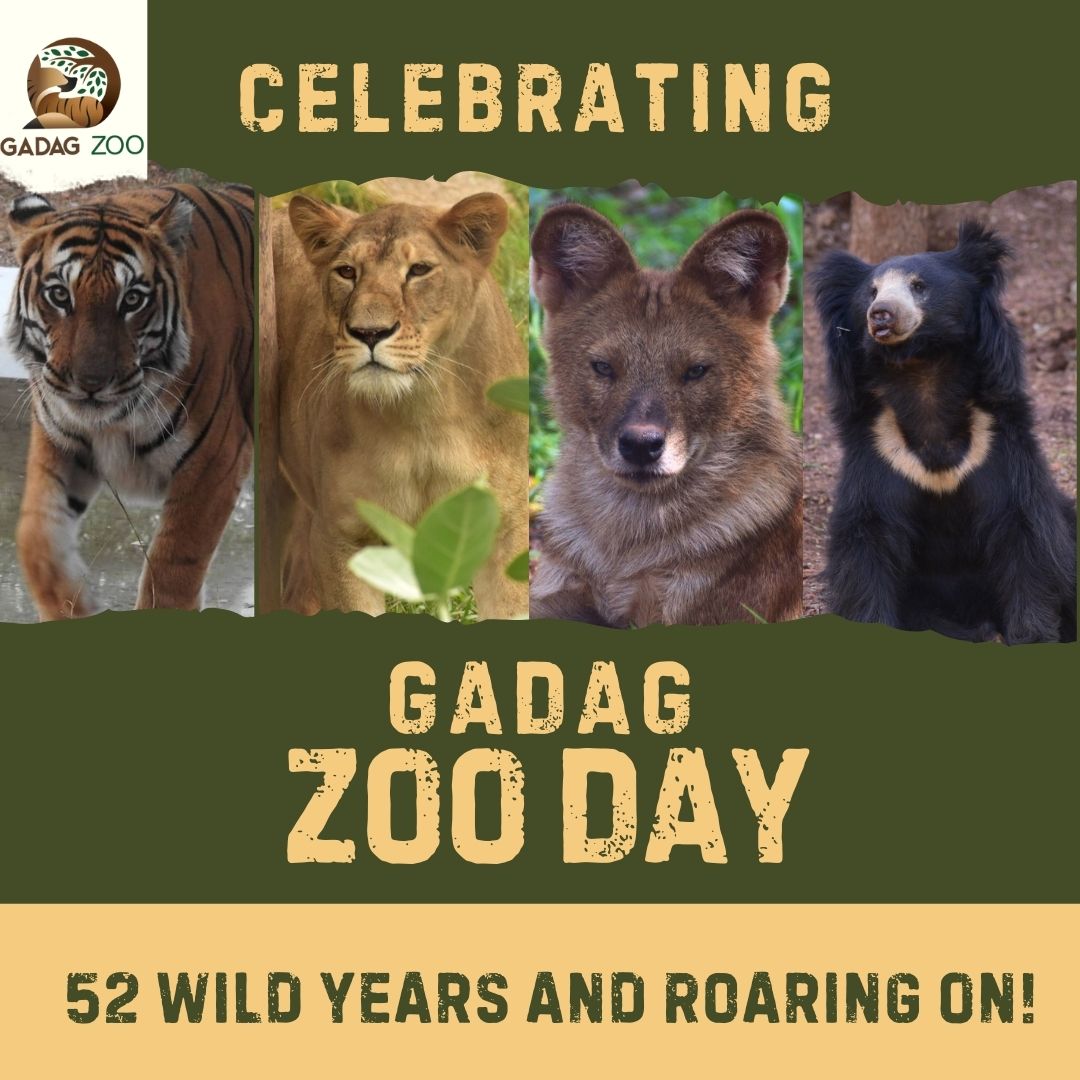 Gadag Zoo tweet media