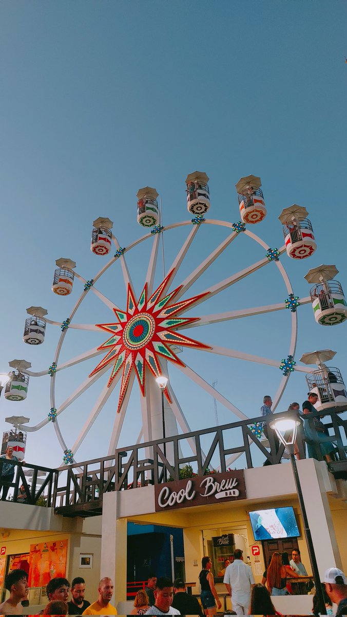 🎡