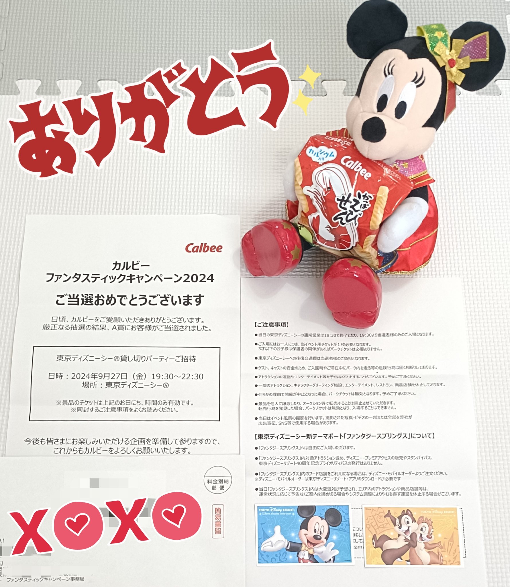 カルビーファンタスティックキャンペーン2024カルビー応募券1484