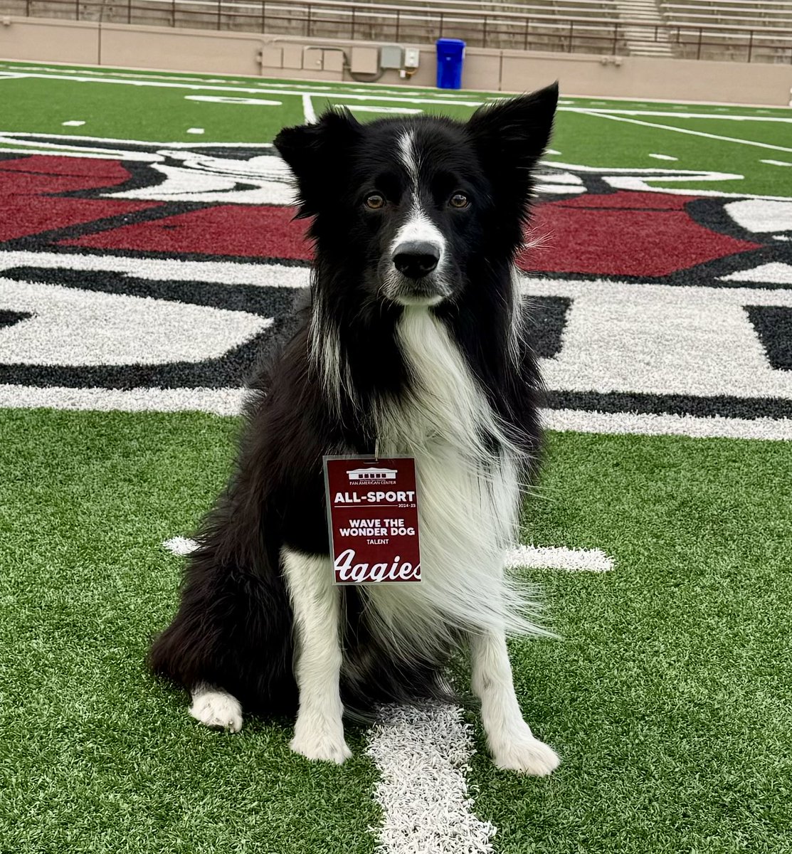 Wave is badged and ready for some football.