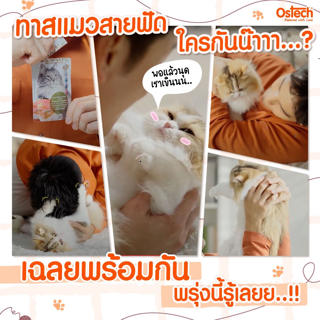 Apo Nattawin Thailand tweet media