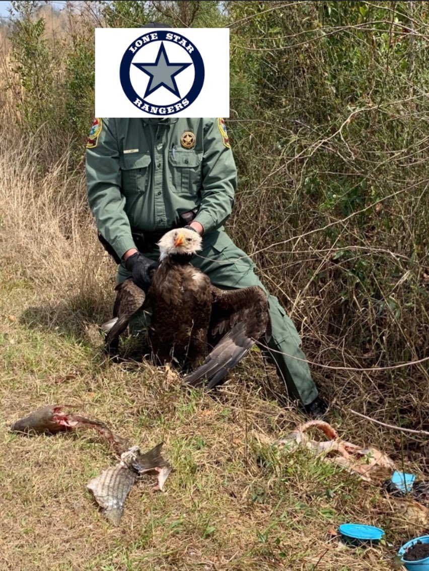 lshs_barstool's tweet photo. 1-0β¦Eagle huntinβ this week,Owl huntin next week. #free #eaglepack #garlandsucks https://t.co/q6kNUS2P1t