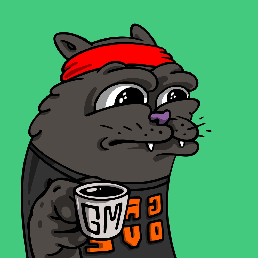 roaringkittywtf's tweet photo. #roaringkitty $roar https://t.co/U8oCneP5jr