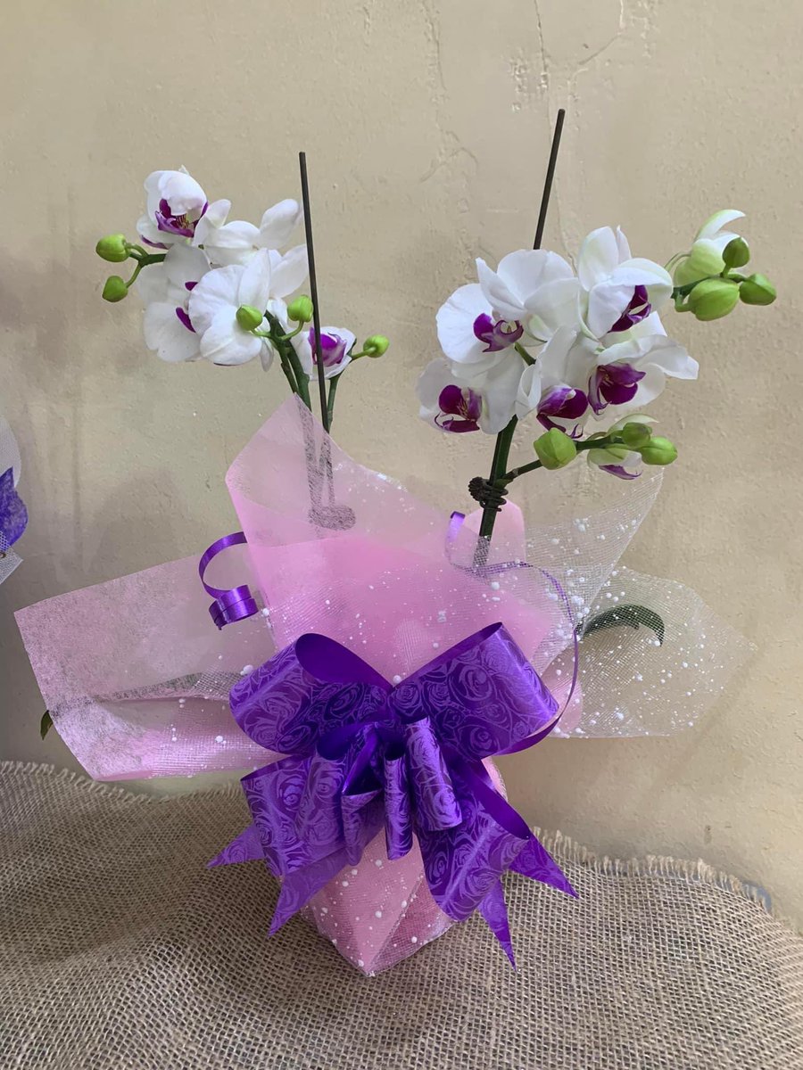 Өнөөдөр уртасгасан цагаар буюу 21цаг хүртэл ажиллана💐
Тасалгааны олон наст таримал цэцэгс өргөн сонголттой байгаа шүү.
Хүргэлтгүй байнаа🙏