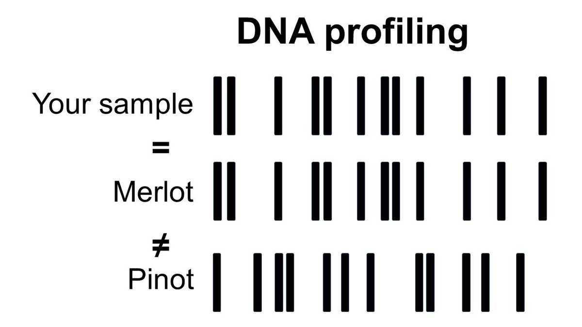 Jose Vouillamoz (@josegrapes) on Twitter photo DNA test for your grapes. I can identify your variety in my database of >3’000 profiles. Contact me for details at jose.vouillamoz@gmail.com. DNA test for your grapes. I can identify your variety in my database of >3’000 profiles. Contact me for details at jose.vouillamoz@gmail.com.