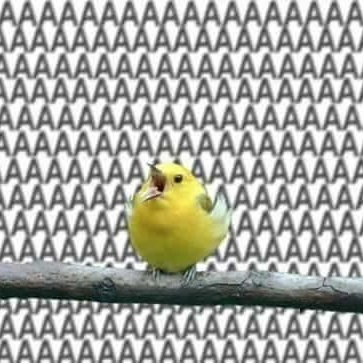 AAAAAAAAAAAAAAAAAAAAAAAAAAAAAAAAAAAAAAAAAAAAAAAAAAAAAAAAAAAAAAAAAAAAAAAAAAAAAAAAAAAAAAAAAAAAAAAAAAAAAAAAAAAA