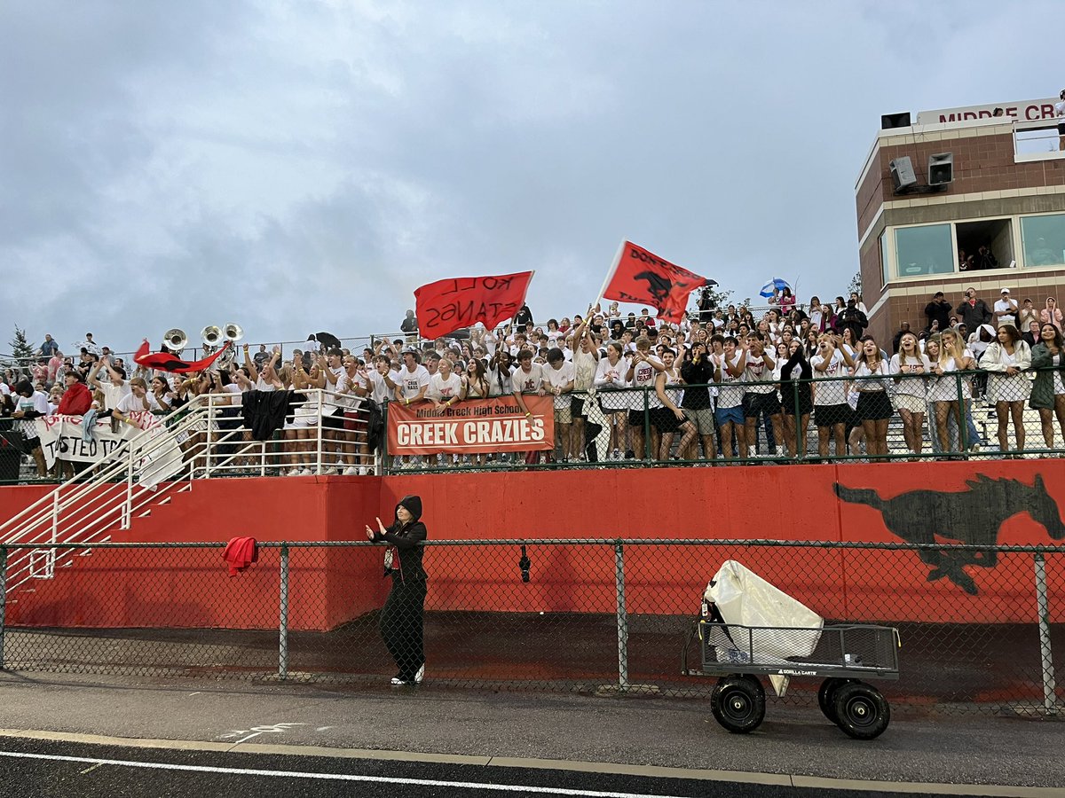 Laura Megronigle tweet media