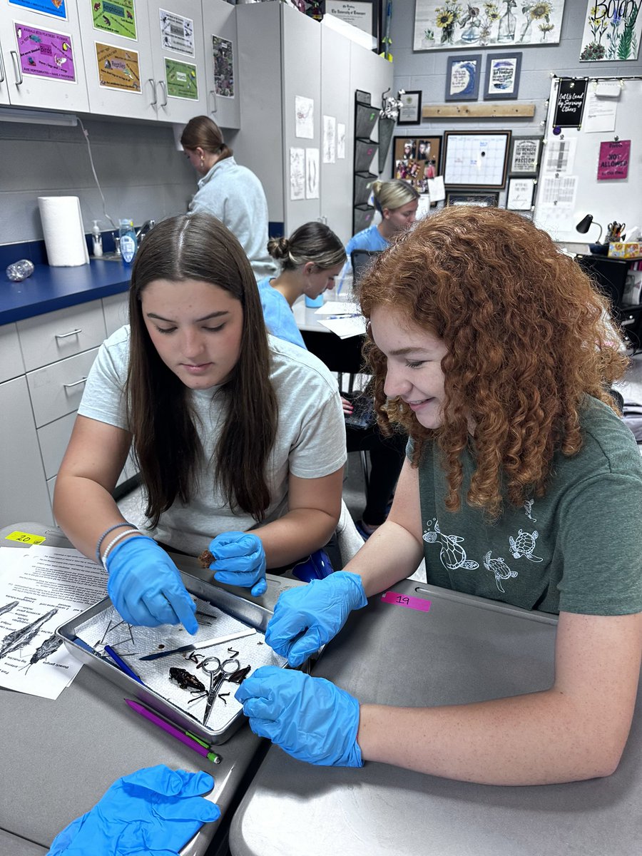 Summer King tweet media