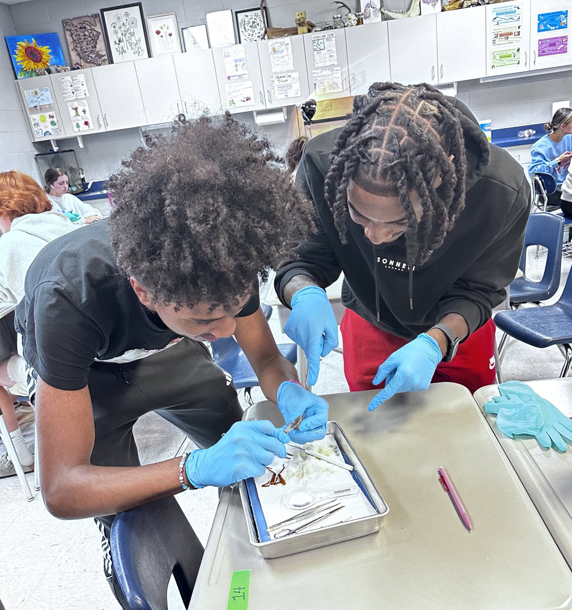 Summer King tweet media