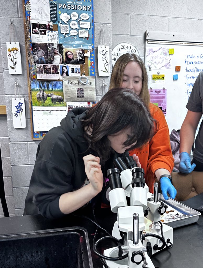 Summer King tweet media