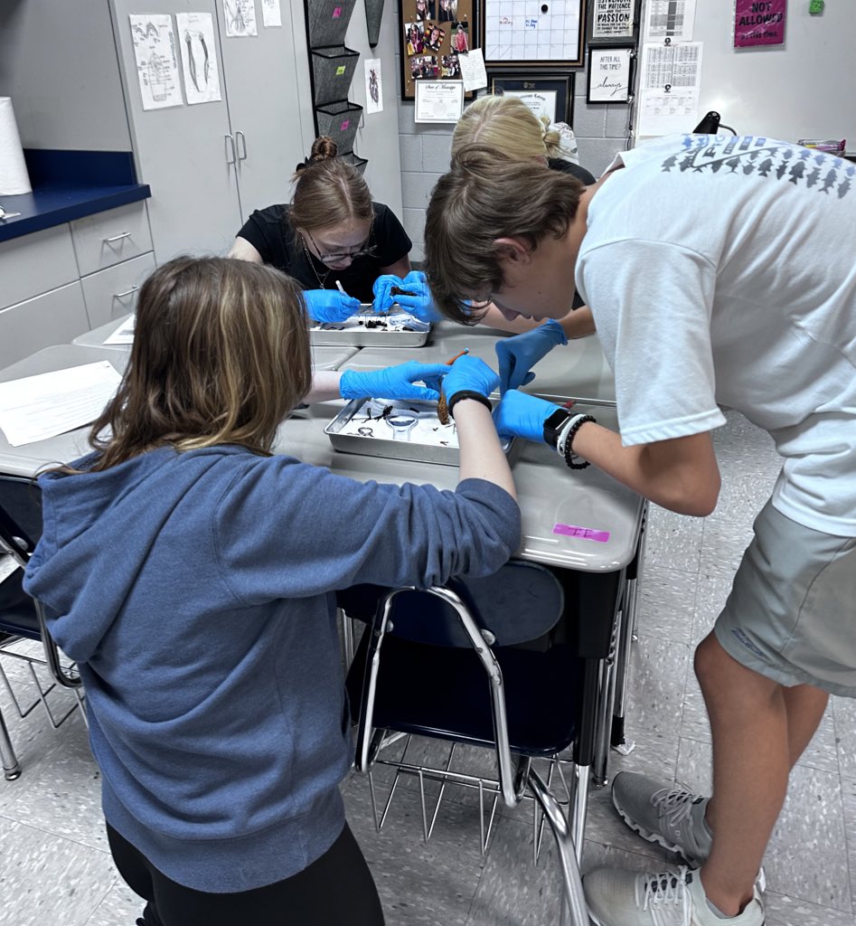 Summer King tweet media