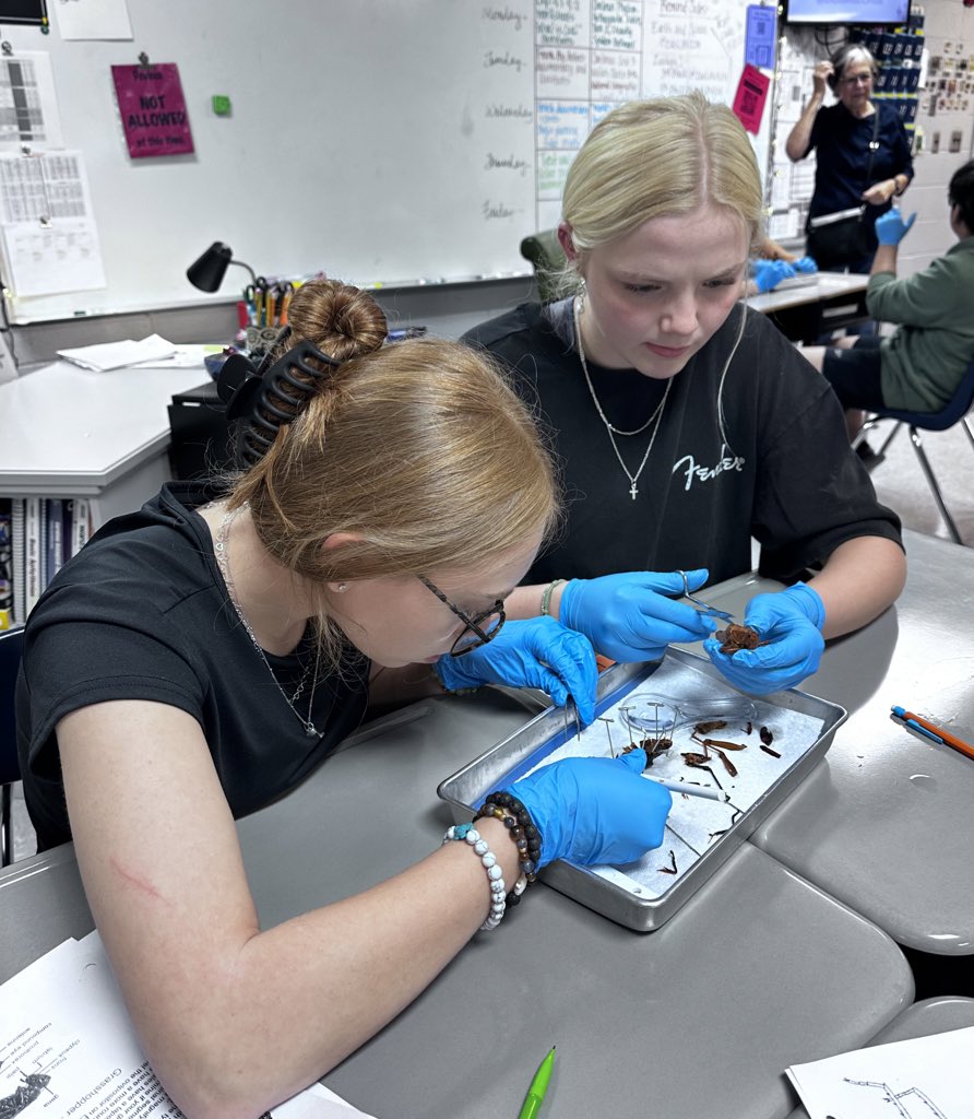 Summer King tweet media