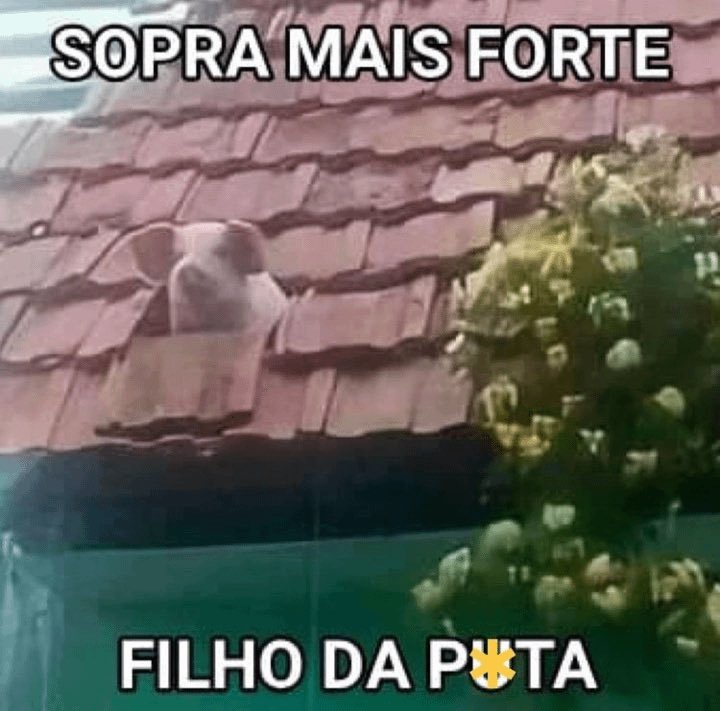 lauritula's tweet image. Como van a cerrar Twitter Brasil, he aquí 4 grandes memes que no debemos dejar morir.

Los invito a aportar los suyos, si quieren.