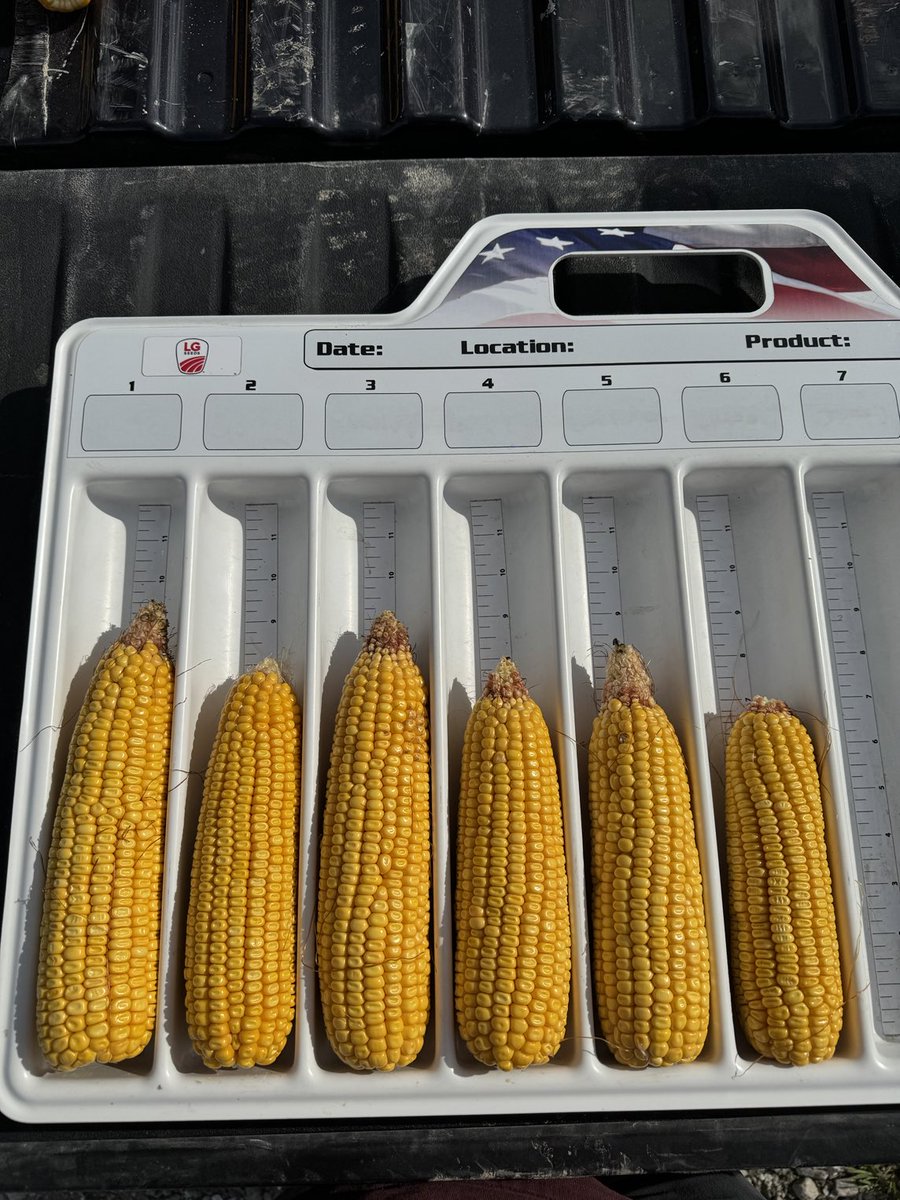 bryluers's tweet photo. Stop #11 and the last stop of the ⁦@LGSeeds⁩ crop tour is in Johnson county. Lots of disease pressure and the yield comes in at 196.2 bu/acre https://t.co/YnchwHjhE4
