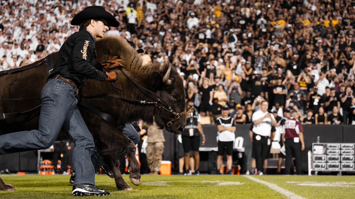 Colorado Buffaloes Football tweet media