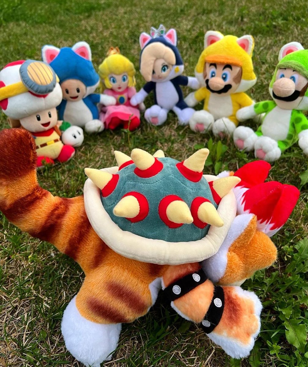 SuperMarioRich's tweet photo. NEW 3D WORLD VIDEO DROPPING THIS WEEKEND! 🗺️🐱 https://t.co/NDveJ10dvL