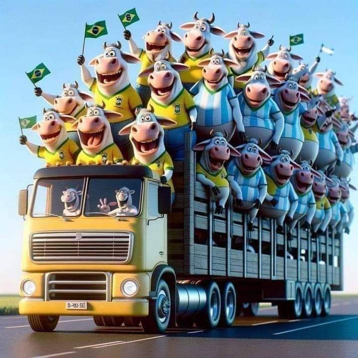 leni_gimenes's tweet photo. @NP__Oficial https://t.co/tO7un12za4