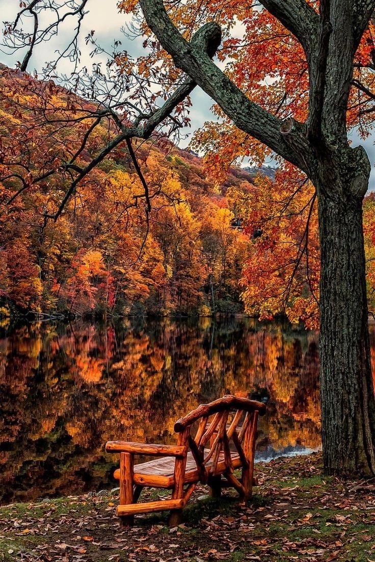 thespookygirll's tweet photo. 🪵🌲🍁🍂 https://t.co/qIWZIgfsPh