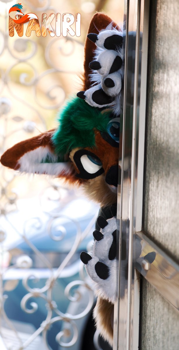 Nakiri_Fox's tweet photo. Peek a Boo!!!  #furryfandom #furry #fursuiter #FursuitEveryday #fursuitfriday #fursuiting #furrycommunity #fursuits #fursuithead #furrys https://t.co/cdLRu0Gzly