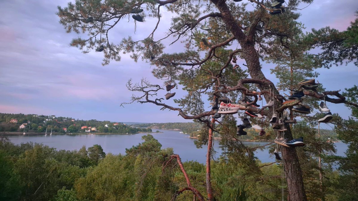 Bell 🍉🇸🇪 tweet media