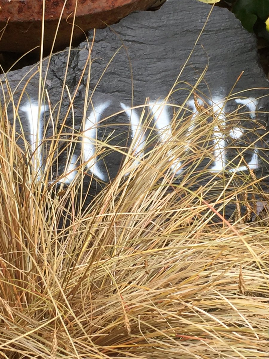 Dave Smith tweet media