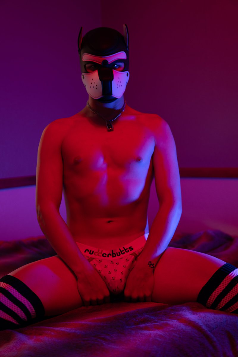 PupDova's tweet photo. What's hiding in this pups jock?🔒 https://t.co/Nzp07Bv0XD