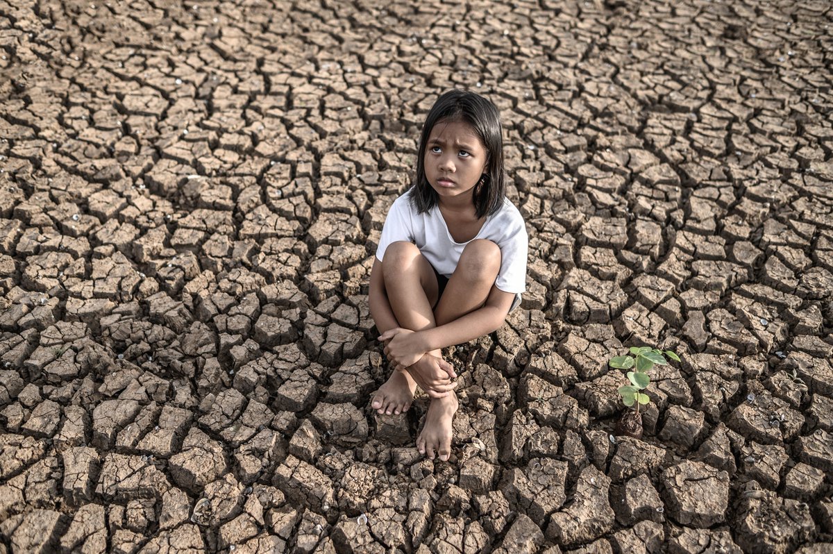thesagecircle's tweet photo. 🌍 The meat industry is responsible for 60% of food-related greenhouse gases. Switching to plant-based diets can cut emissions by up to 73%. Every bite counts! #ClimateAction #Sustainability https://t.co/ybGJT1wRyP