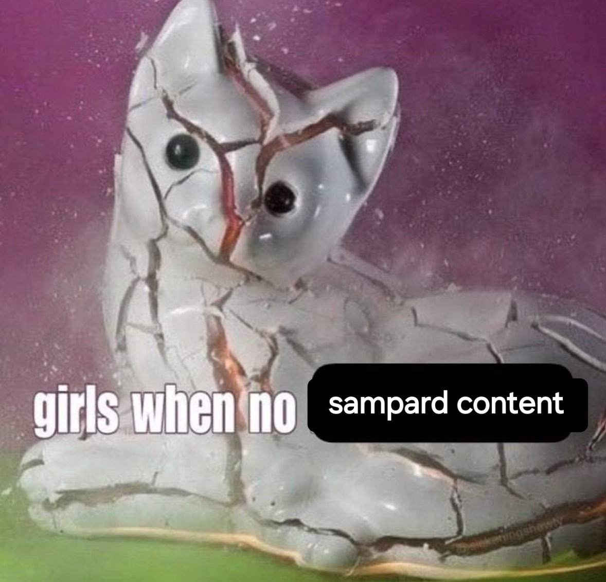 dailysampard's tweet image. #sampard