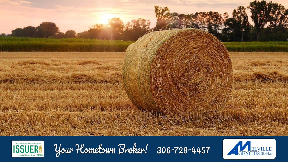 Our office will be closed for the Labour Day weekend Sat, Aug 31 &amp; Mon, Sept 2. Use melvilleagencies.com… while we are closed to renew your registration and request other info from us. Enjoy your weekend, school starts Tuesday! #ALLCAPS