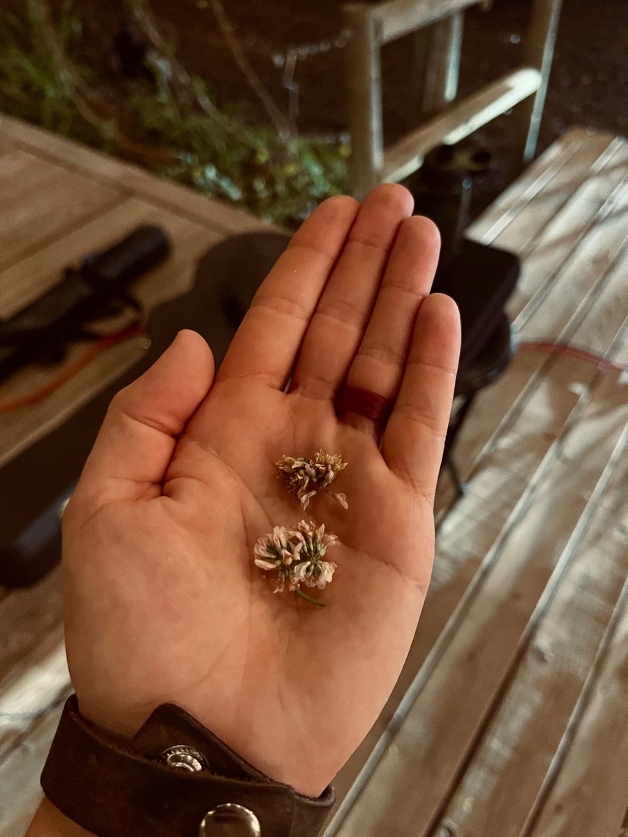 cjacksonmusic1's tweet photo. It's the little things❤️ | Last Saturday night I had a young fan pick some flowers and give them to me after the show! Young fans with a big heart sure have blessed me and have a heart worth learning from. Extremely grateful for things like this! #fanfriday #countrymusic https://t.co/ZyZdFr1Nlr