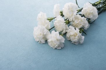 伊藤メチャコぱいせん✈️ tweet media