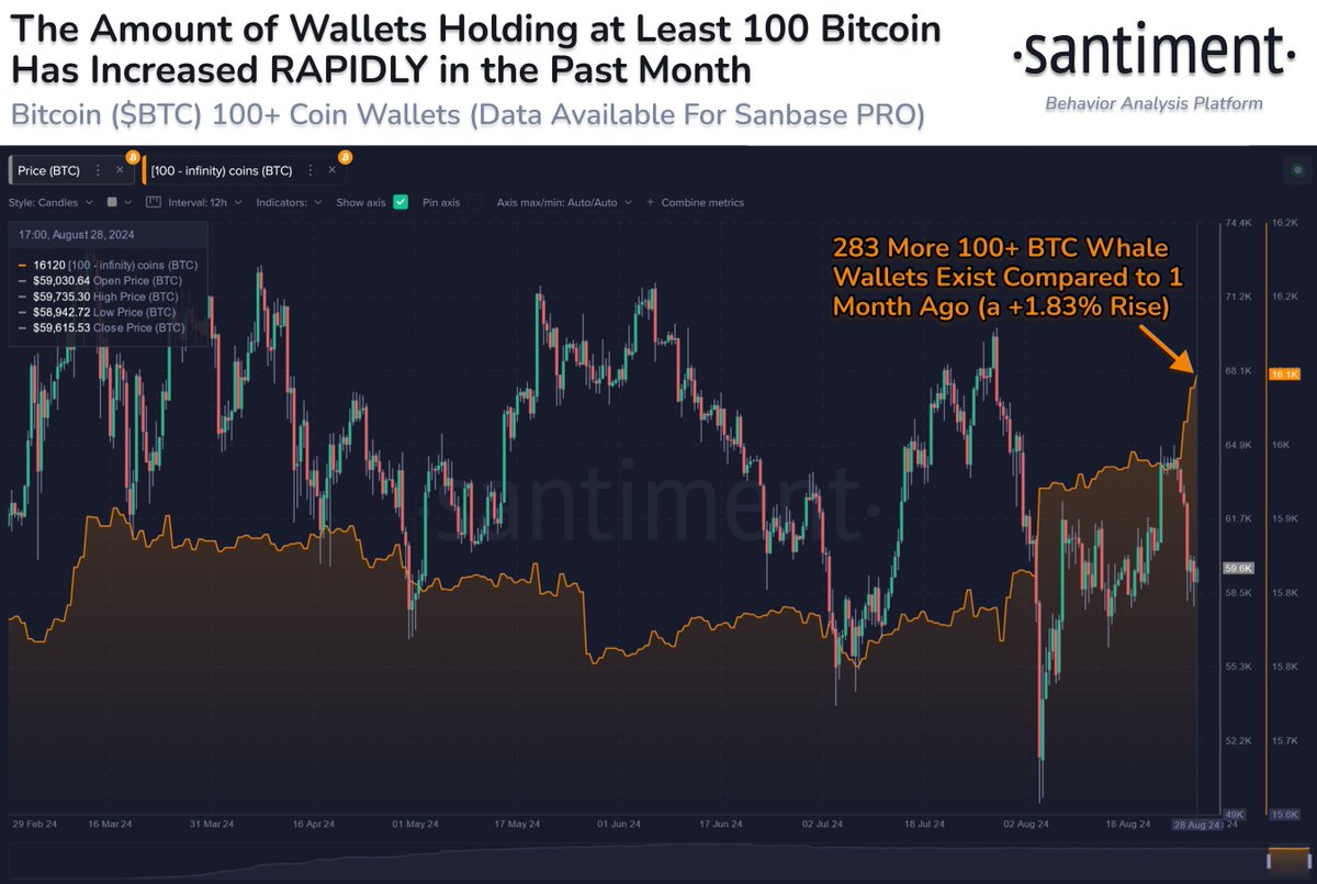 🐳 As crypto prices have let retail traders down, Bitcoin whales are  growing in number. A net gain of +283 wallets holding at least 100 BTC has  emerged in just 1 month.