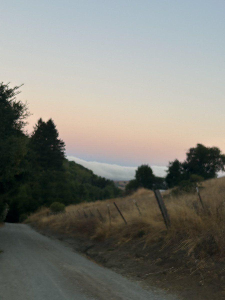 stuartkirsch's tweet image. May the wonders of Shabbat bring us each closer to peace and to wholeness. Let us build our broken world from love. #ShabbatShalom