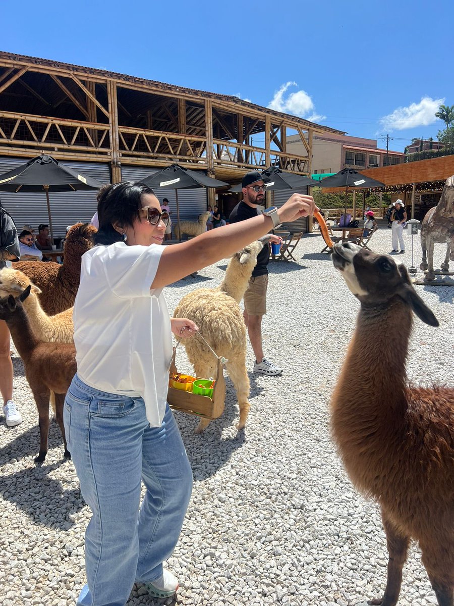 CaleritoMari's tweet photo. Quiero regresar a Colombia de Nuevo. https://t.co/JvoHQIxdJh