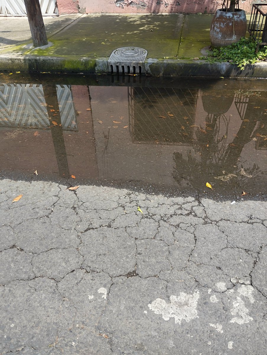 gracecure's tweet photo. @SacmexCDMX Me llegó un email de @A_VCarranza y 911 que ya se atendió mi reporte pero la coladera sigue igual, está foto fue tomada hoy https://t.co/51i8554e0i