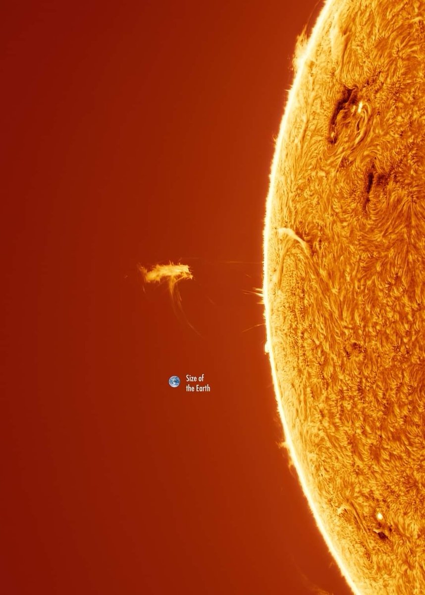 earth_is_mars's tweet image. Captured this massive floating prominence at the Sun&apos;s edge on Tuesday, Aug 27th, 2024, at 08:56 UTC. Added Earth (to scale) for a striking size comparison. 🌞🌍
#UniplanetaryEvolutionTheory #UET