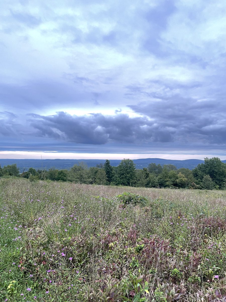 Closing the laptop and ending the week with a mountain bike ride is always a good thing. Hope you get to go outside and touch grass this weekend.