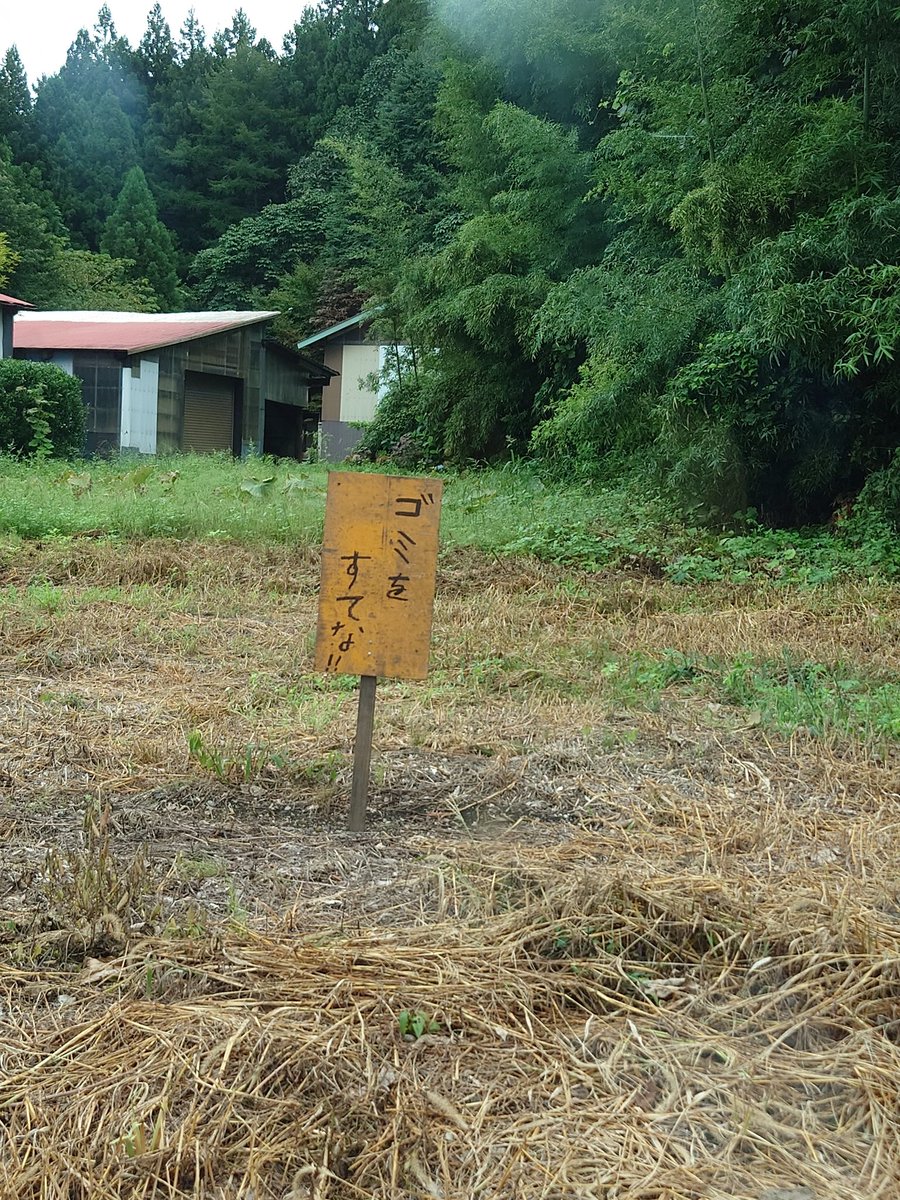 rAYPd7tV9JR7rfg's tweet image. 捨ててもいいという事でしょうか？
（青森県/ひーさん）

#VOW