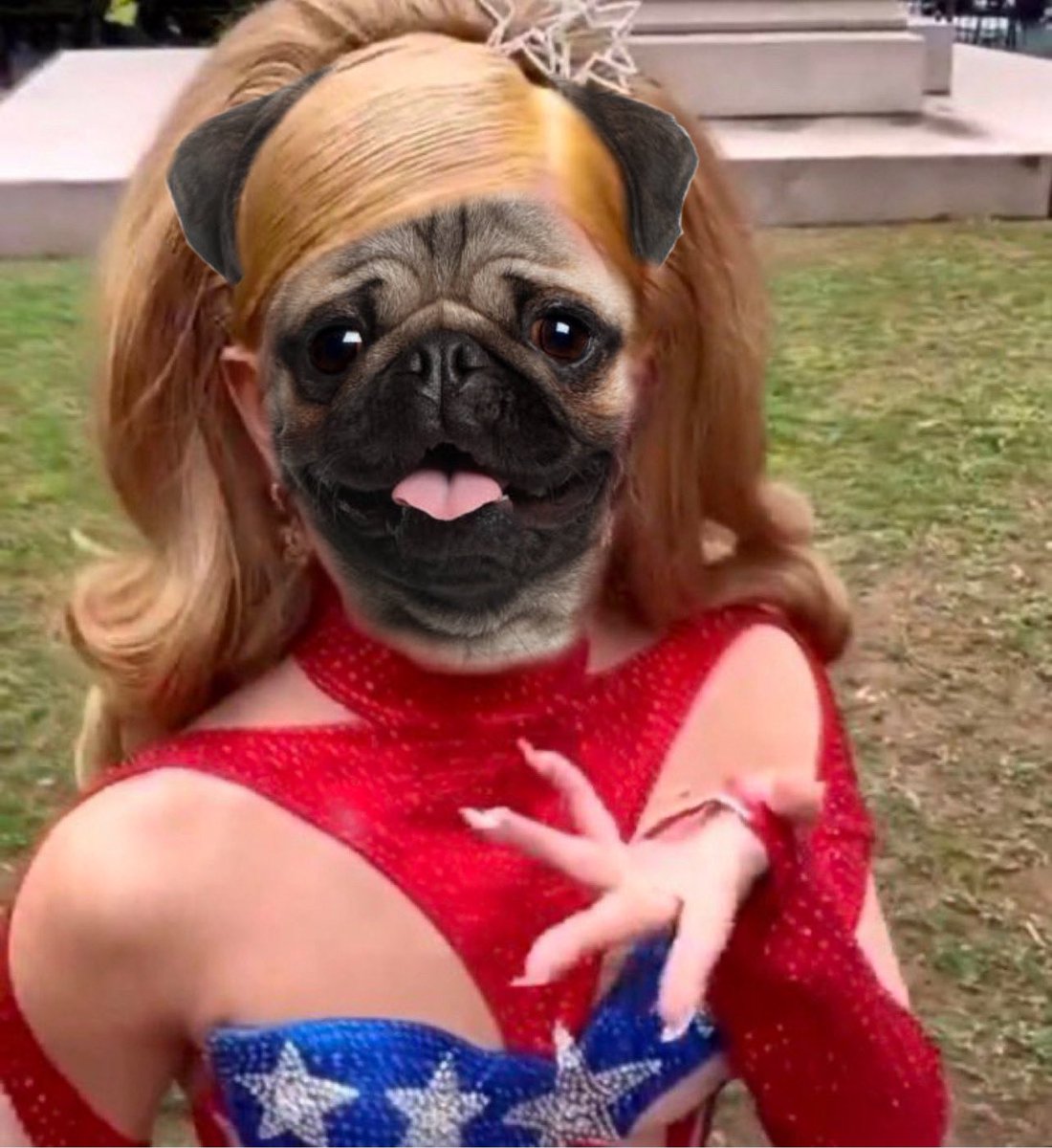 amandalepwhore's tweet photo. It’s so PUGGY out here https://t.co/Mtcm5lD8mz