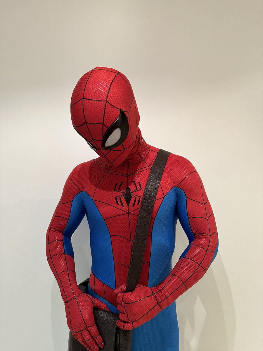 SWebhead's tweet image. The Spectacular Bag-Man