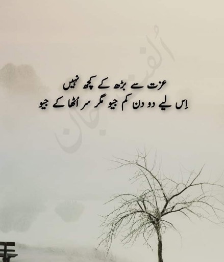 Assalamu alaikum 🌹 
Good morning 🌞 
My X family ❤️🔥