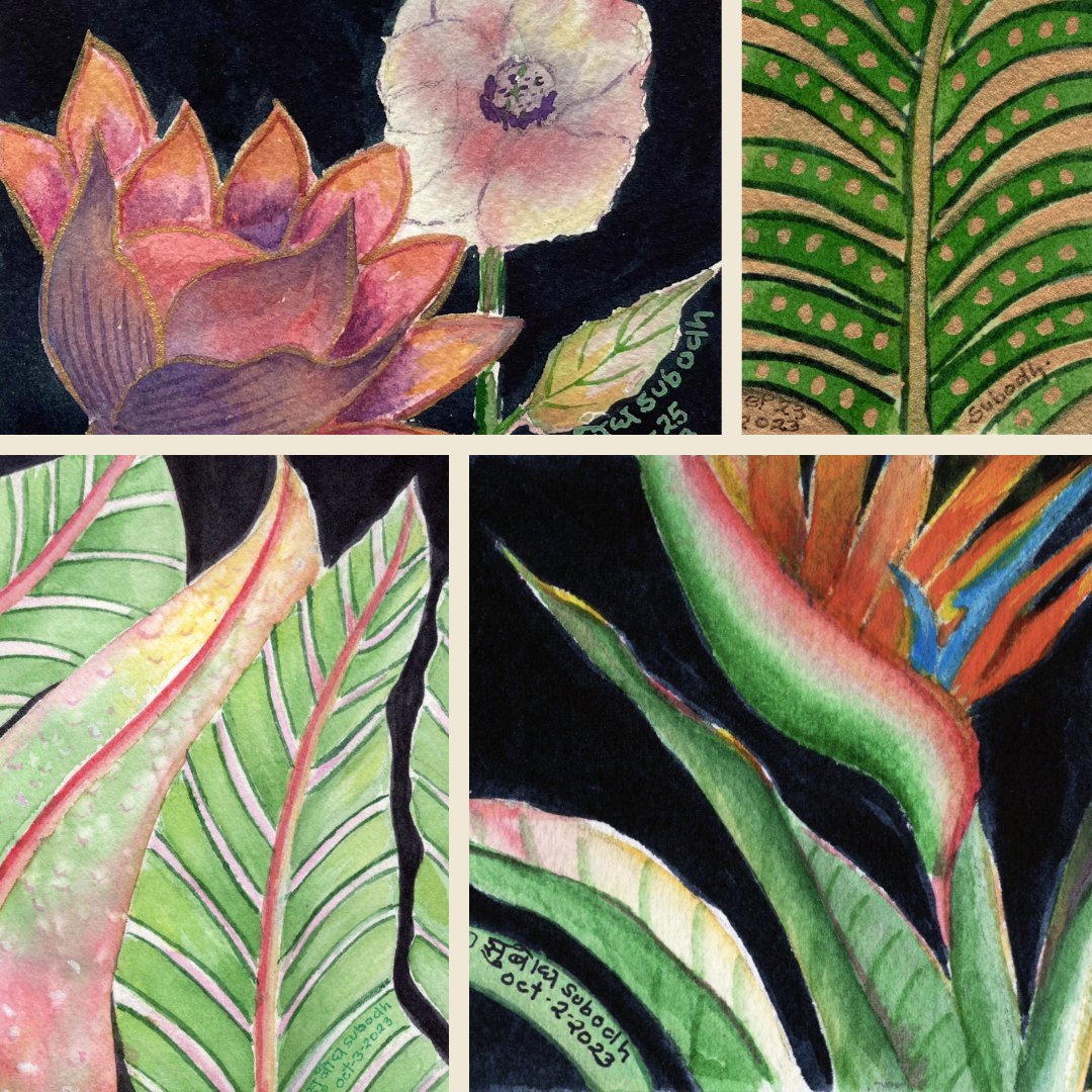 subodhstudio2's tweet photo. New #subodhfineartstudio newsletter: Miniature paintings blend East &amp; West influences and "Fantasy of Flowers" solo show explores floral significance in Indian culture. Read more: https://t.co/IjBFrE3Evx #indianartist #artnews #ArtExhibition #Painting https://t.co/Fq55OoBb0m