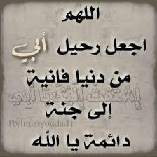 د. عبير الصبان tweet media